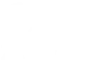 Zenivia Logo